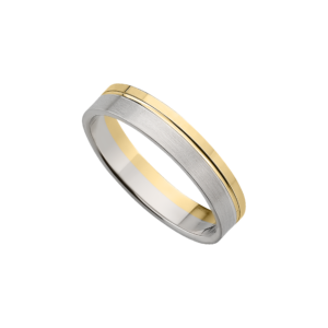 Alianza bicolor ALA4-236