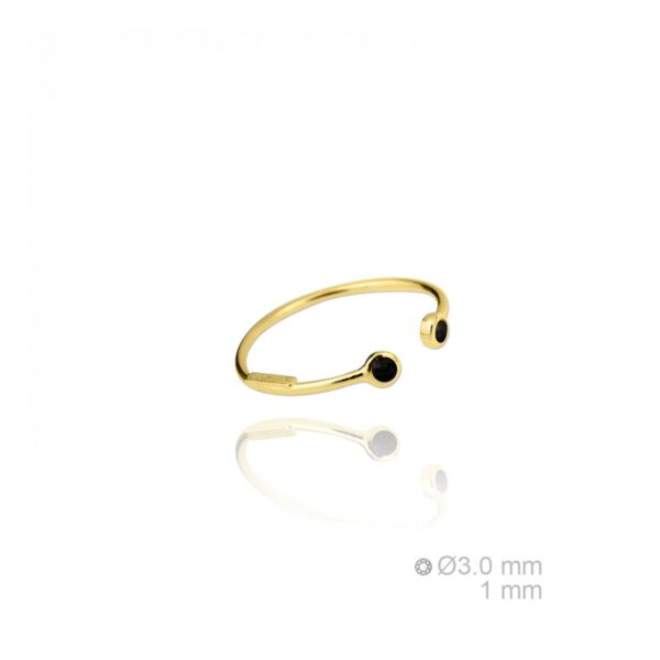 Sortija plata Giethoorn