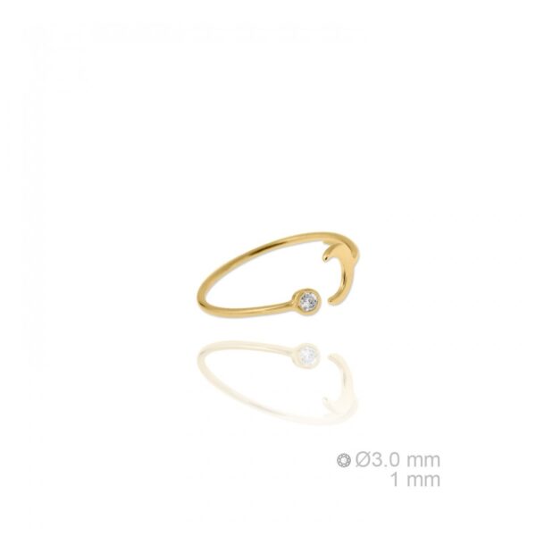 Sortija plata Pitigliano