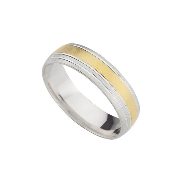 Alianza bicolor 1510-APB6-331