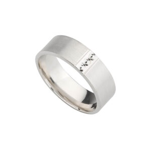 Alianza oro blanco 1156-APL67-2091