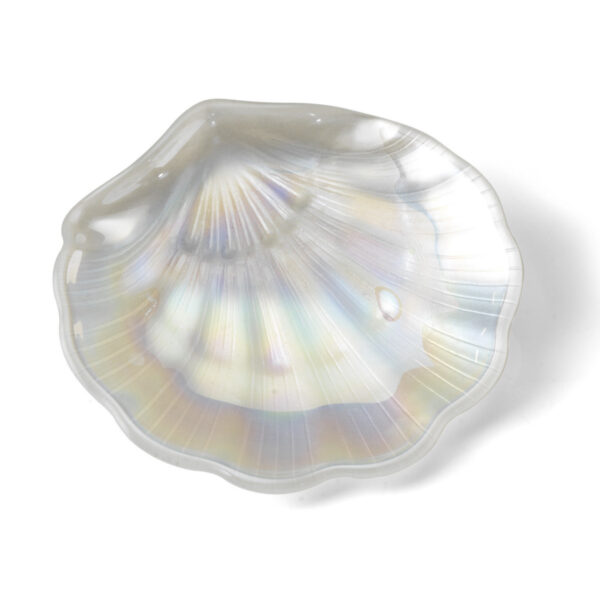 Concha nacar