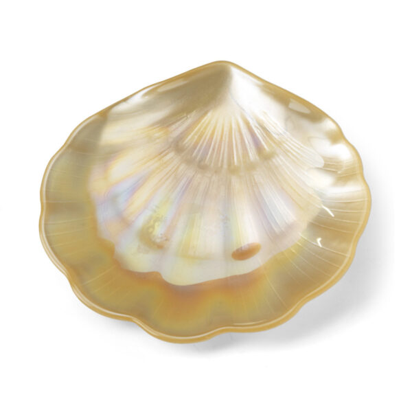 Concha nacar champagne
